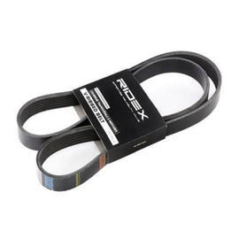 Courroie Multi-piste Ridex 305P0065