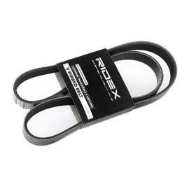 Courroie Multi-piste Ridex 305P0141